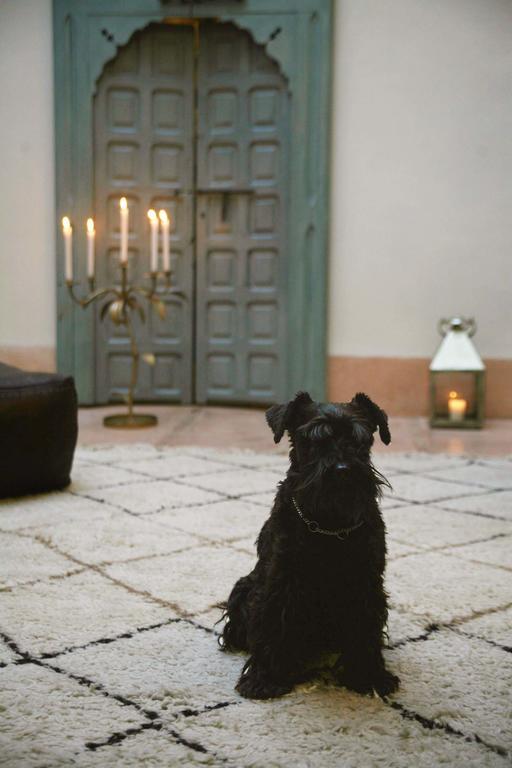 Riad Le J Marrakesh Eksteriør billede