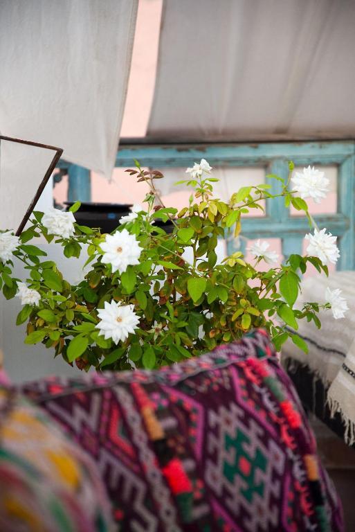Riad Le J Marrakesh Eksteriør billede